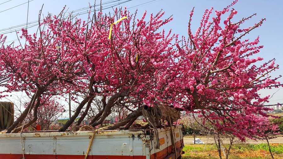 사천농원 이미지