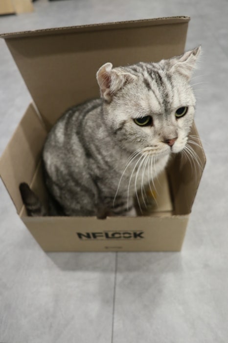 아띠빌 이미지
