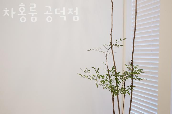 차홍룸 공덕점 이미지