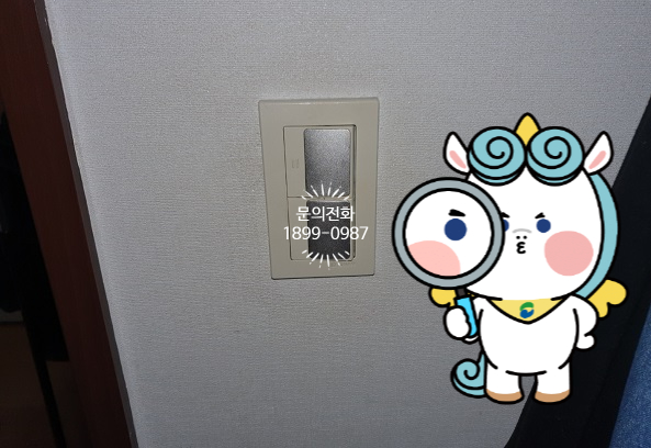 백송전기 이미지