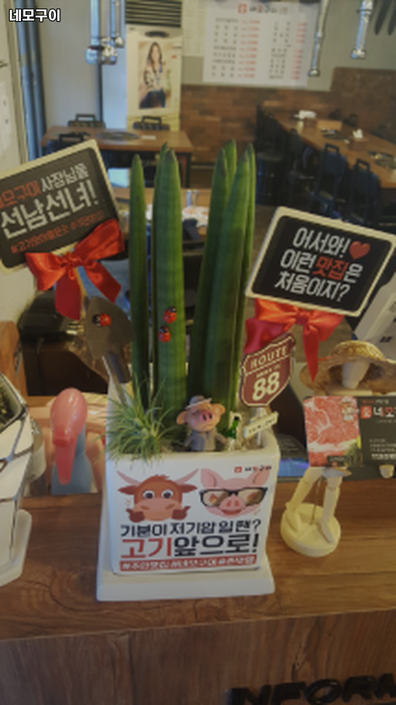 네모구이 이미지