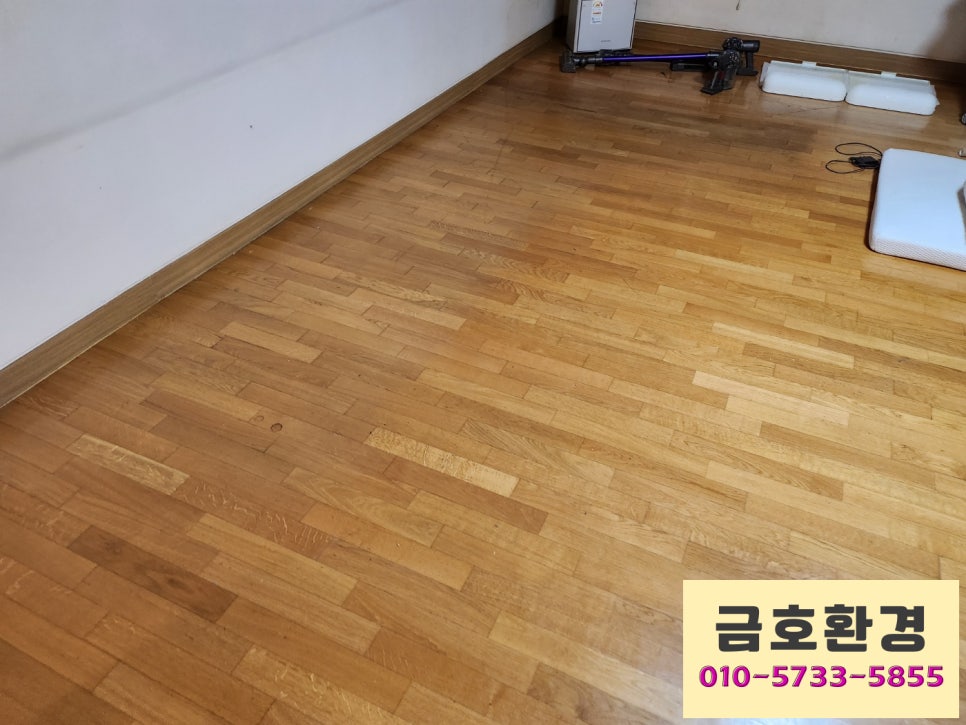 트리수 이미지