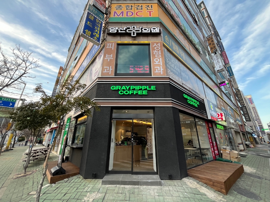 그레이핍플 이미지