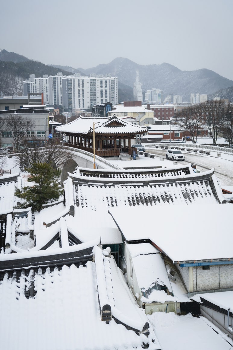 향기나무 이미지