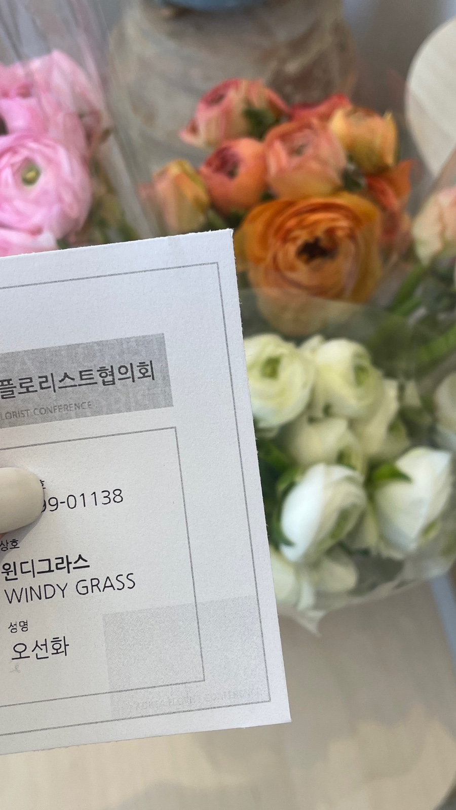 윈디그라스 이미지
