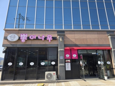 뽕이나무 이미지