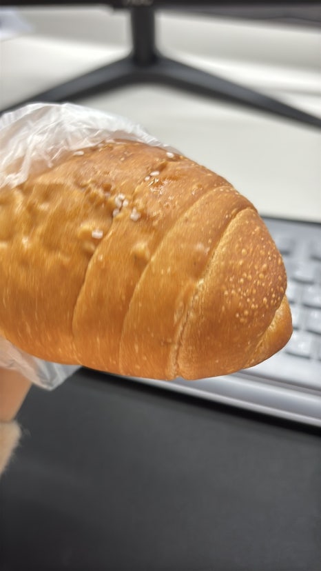 포레스트디바 이미지