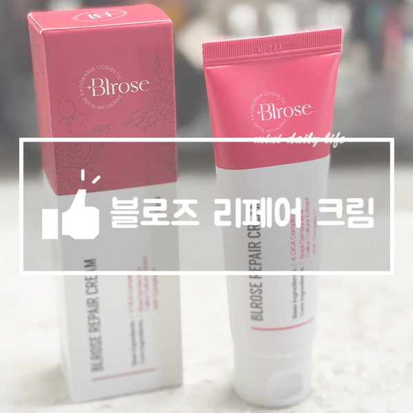 블로즈 이미지