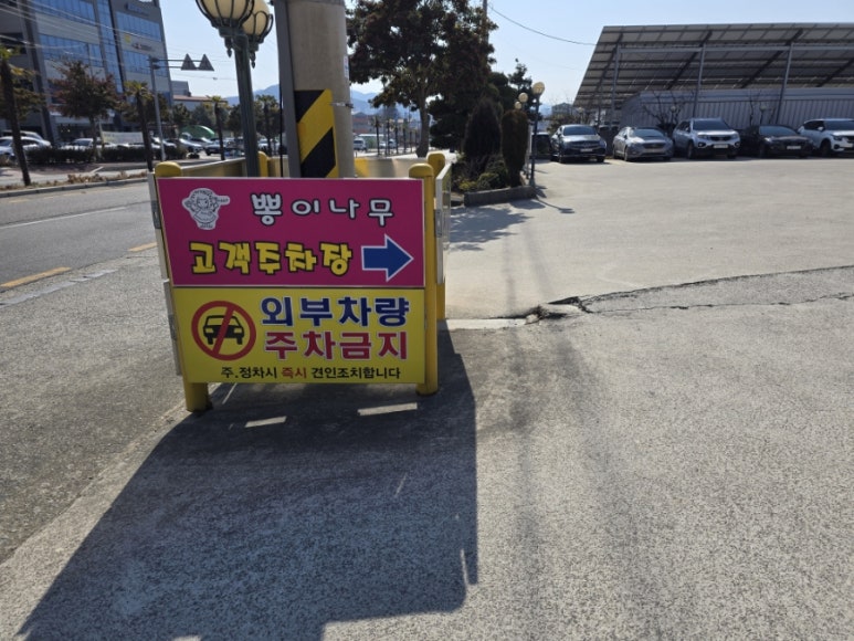 뽕이나무 이미지