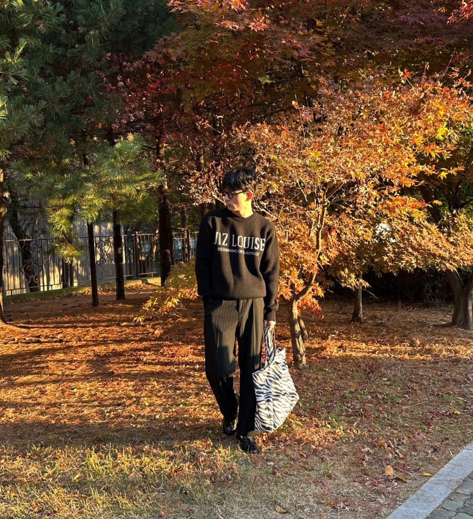 지즈루이스 이미지
