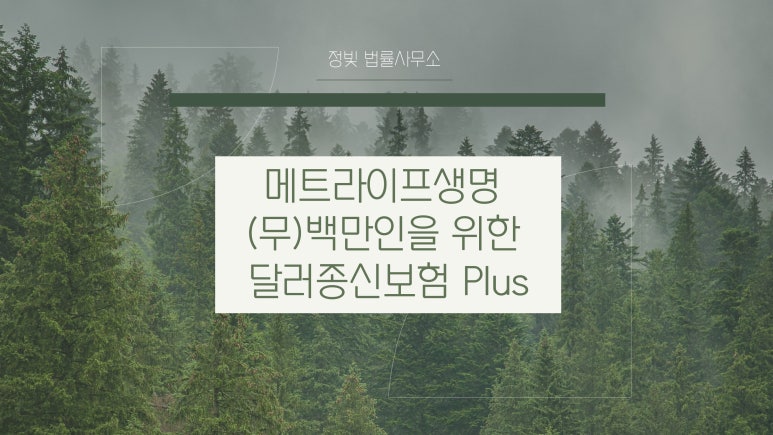 법률사무소정빛 이미지