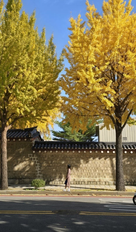 (주)두남 이미지