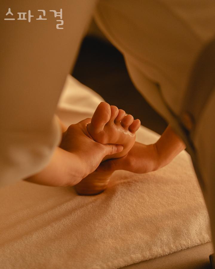 스파고결 이미지
