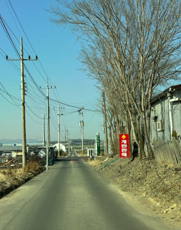 계란직판장 이미지