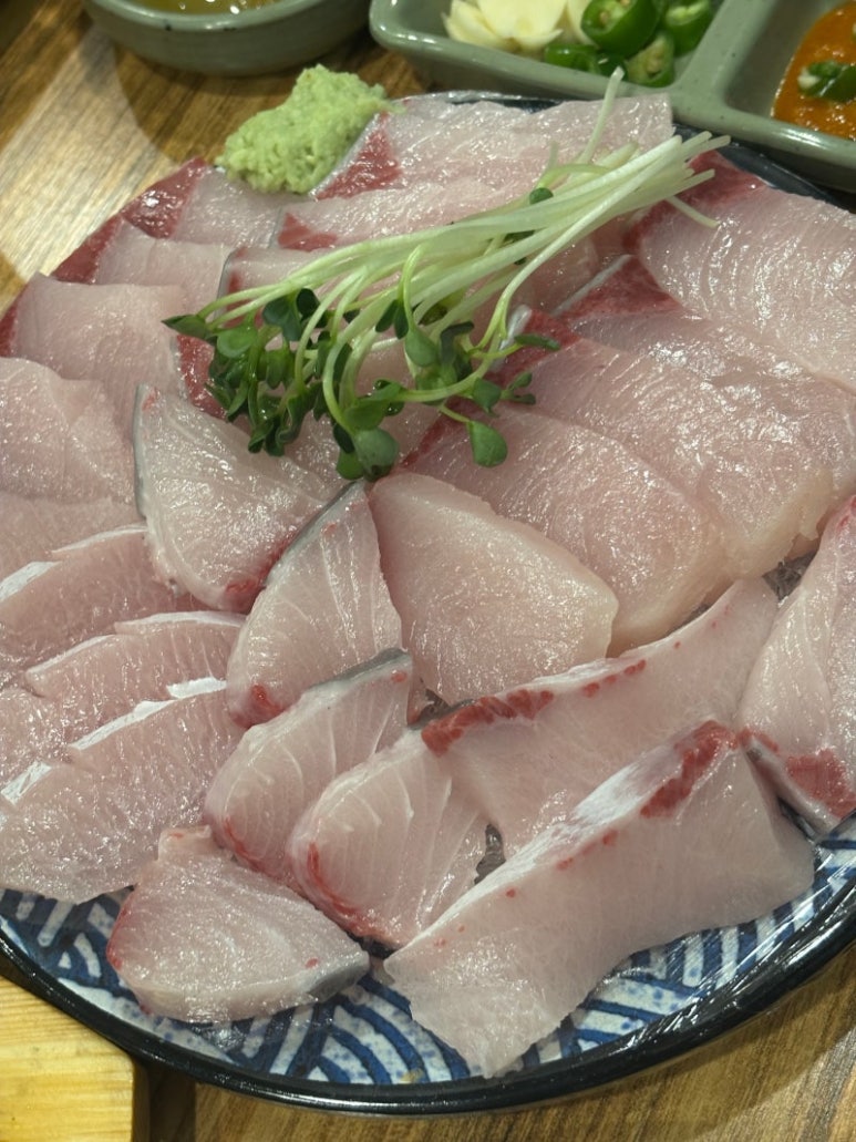 오징어바다 이미지