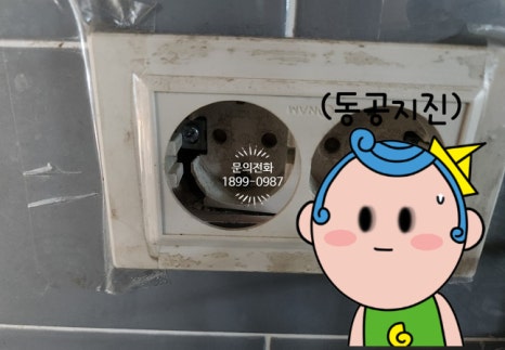 백송전기 이미지