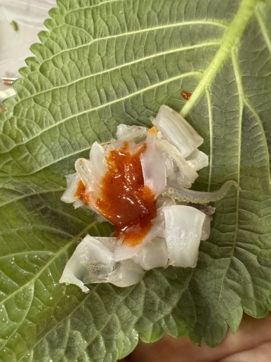 산오징어클럽 이미지