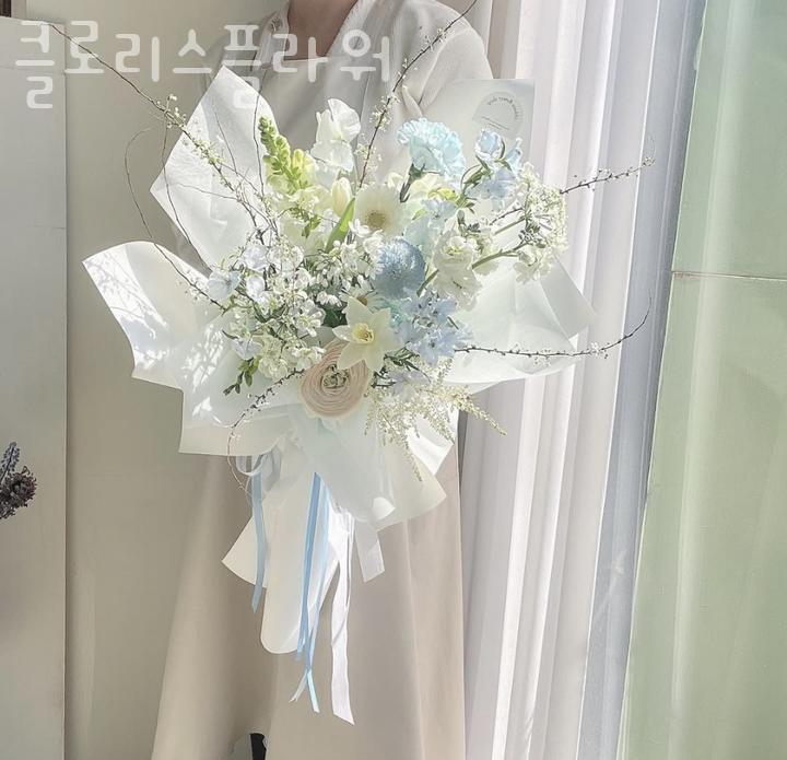 클로리스플라워 이미지