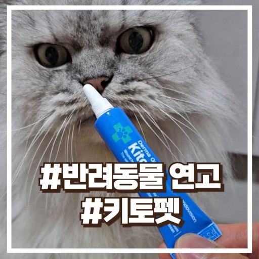 두둥 이미지