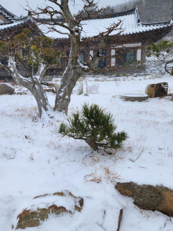 진도한옥펜션 이미지