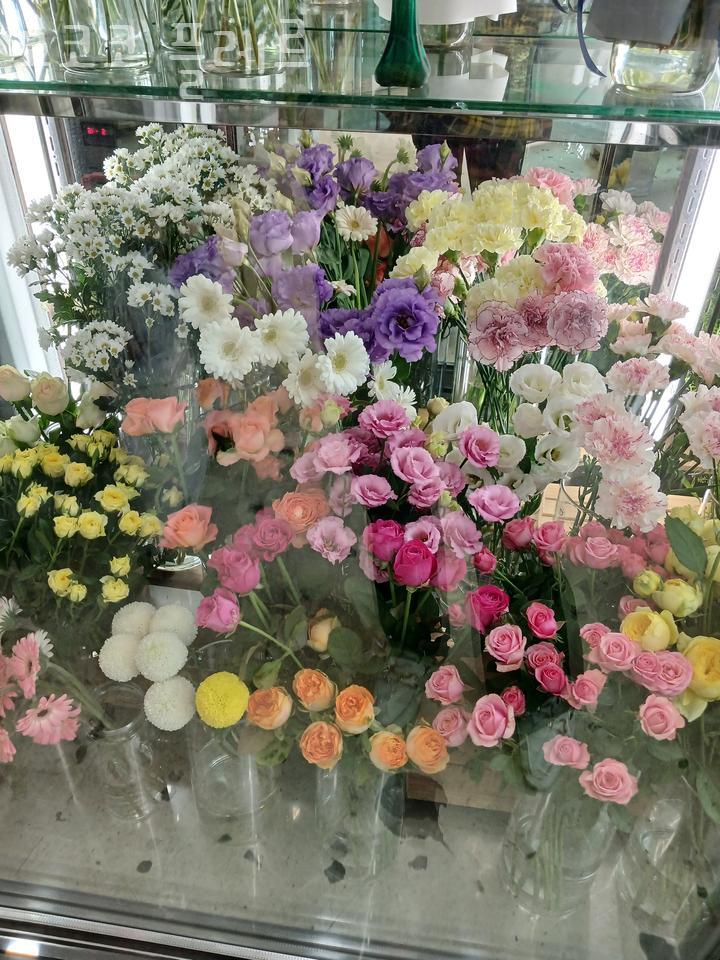 모코코플레르 이미지