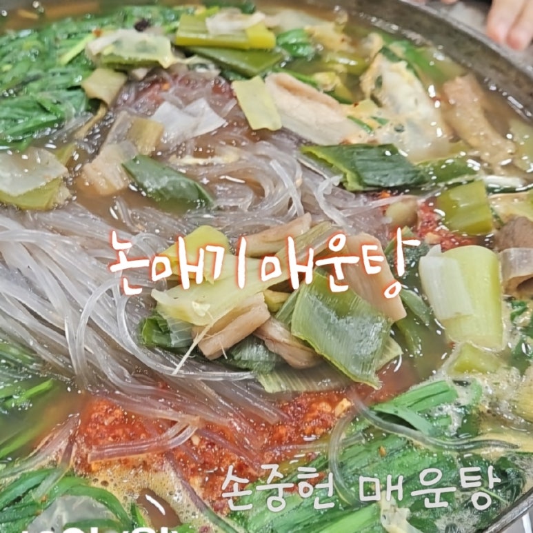 손중헌원조논메기매운탕 이미지