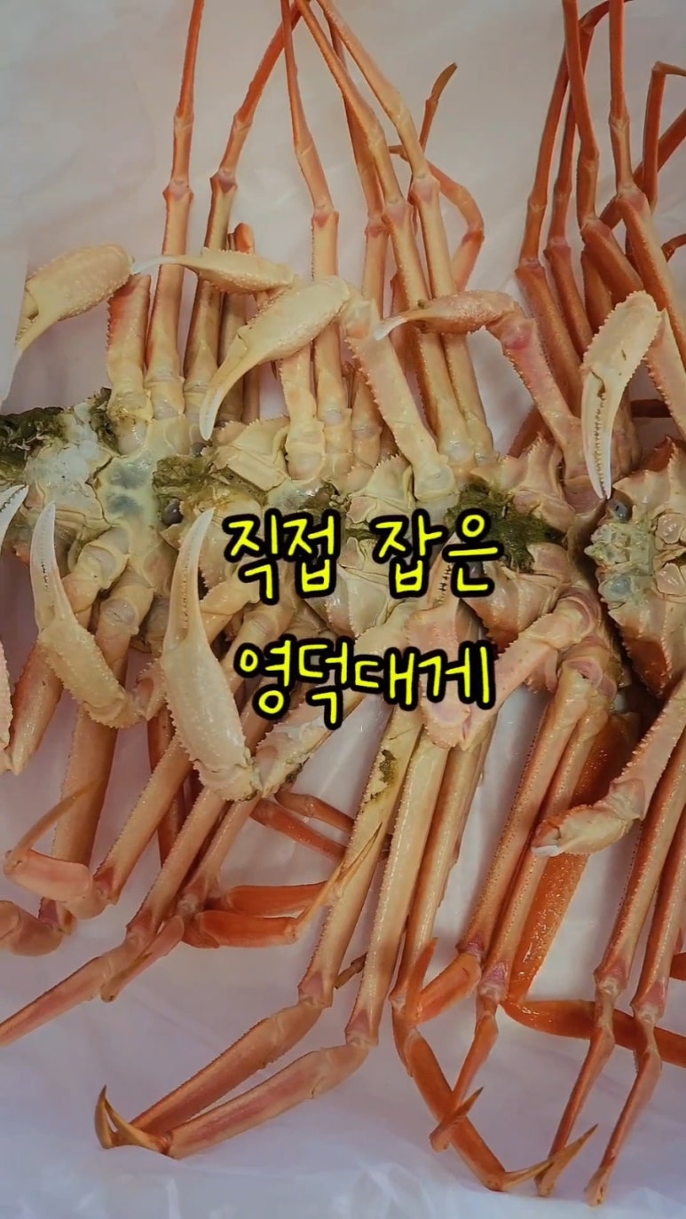 영덕대게 이미지