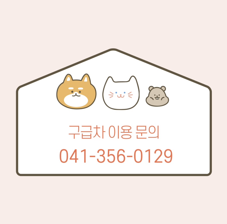 충남사 이미지