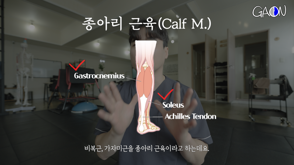 남서울체형교정센터 이미지