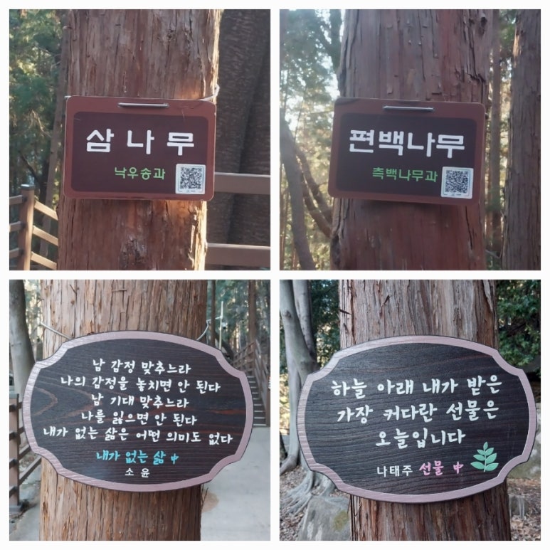 숲속에는 이미지