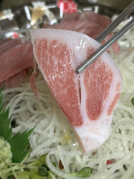 요이참치 이미지