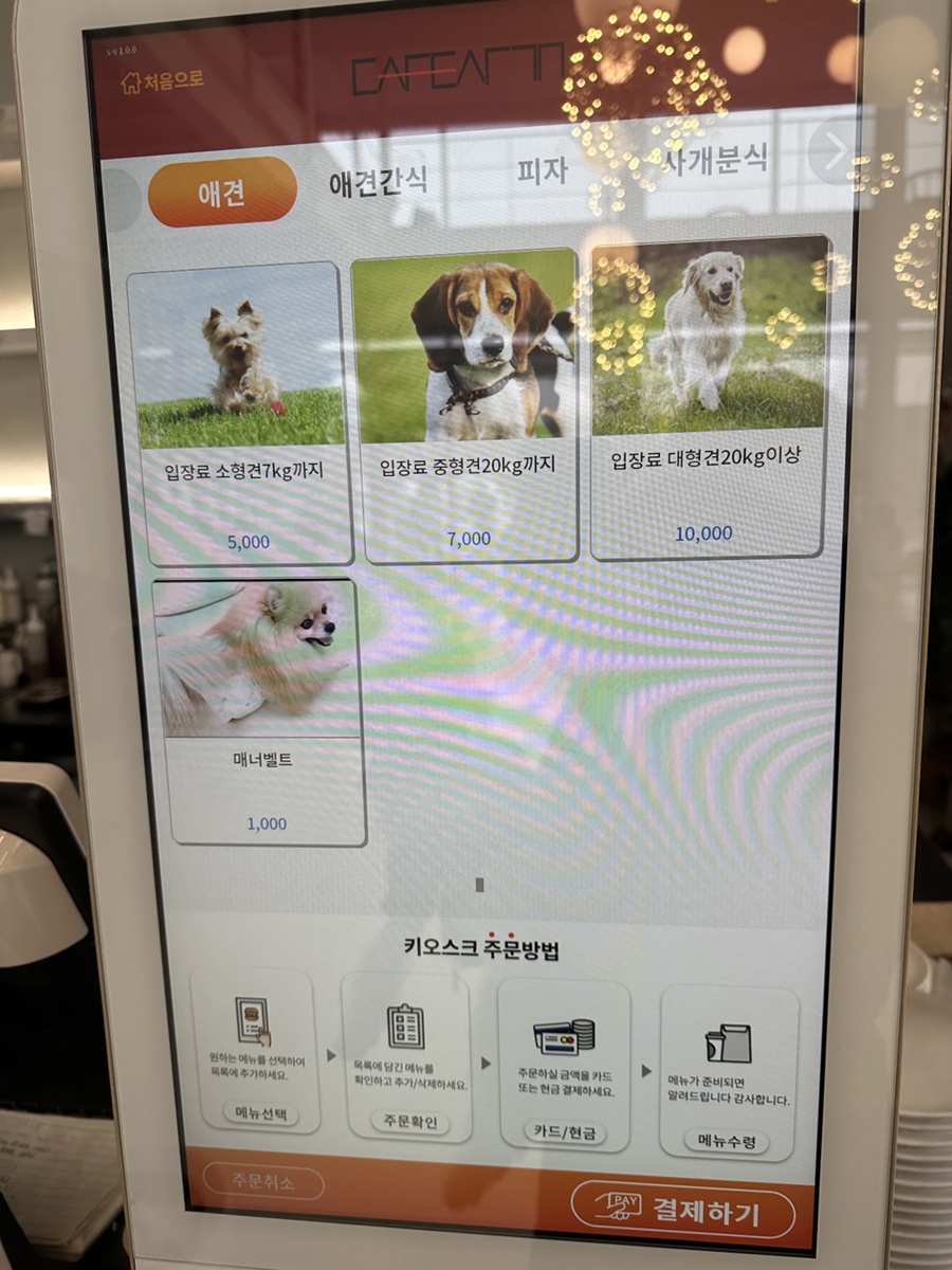 동탄애견카페 카페사개, 넓은 운동장과 편리한 주차 — 사진 10