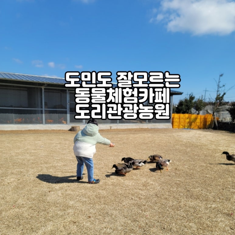 도리관광농원 이미지