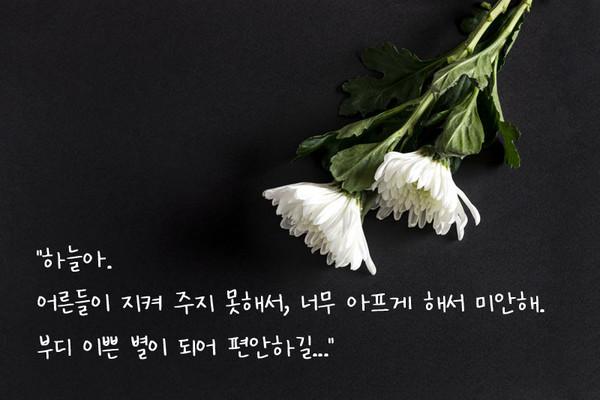 안전한세상 이미지