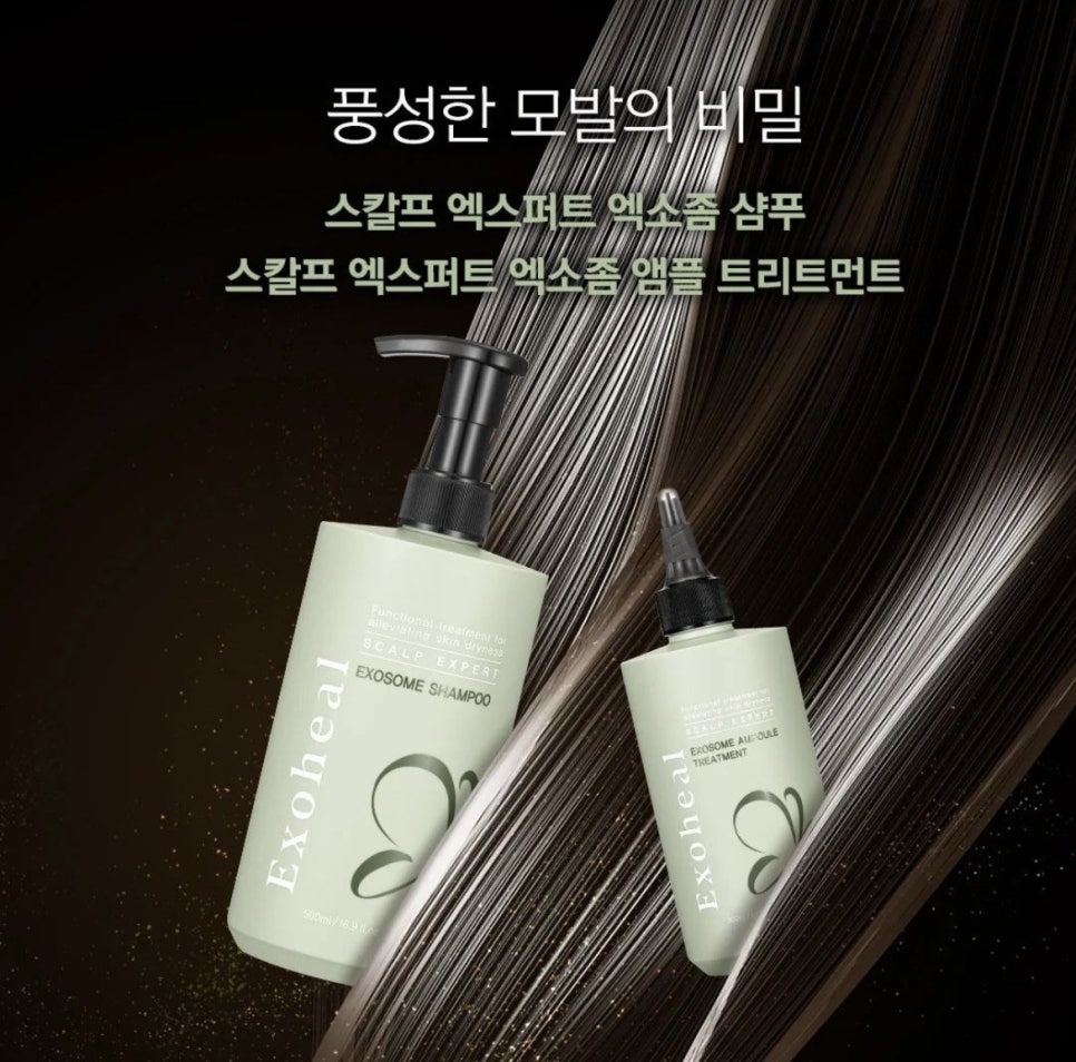 헤이미 이미지