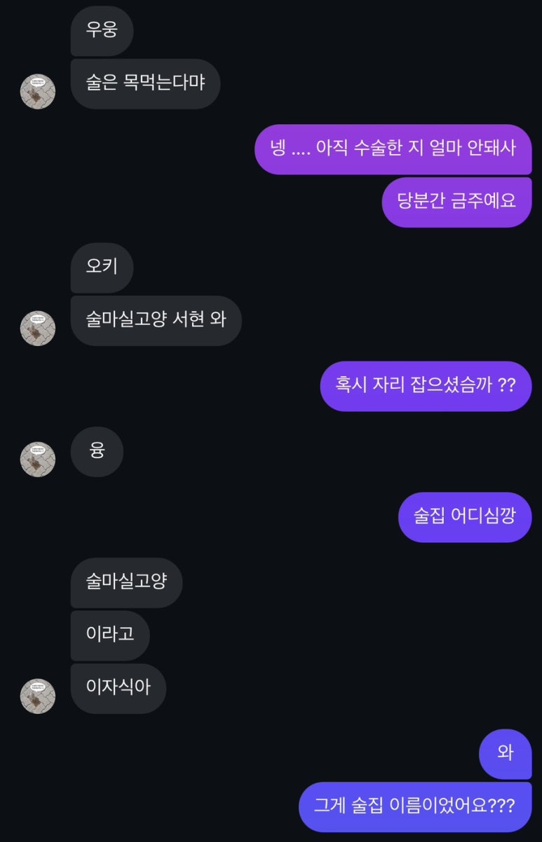 술마실고양 이미지