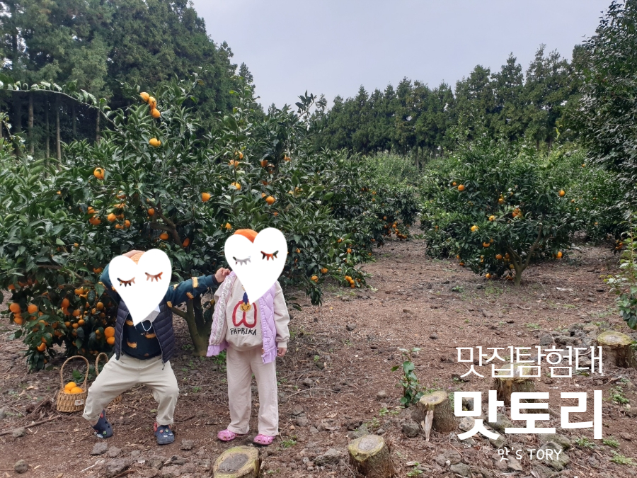 제주바다장어탕 이미지
