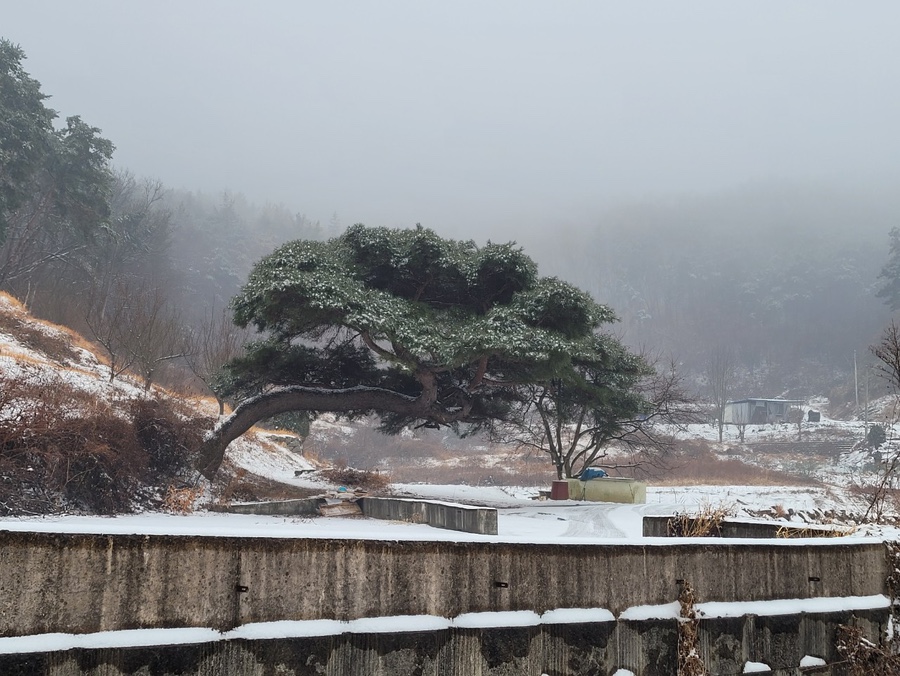 우방조경식물원 이미지