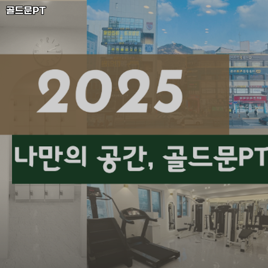 골드문PT 이미지
