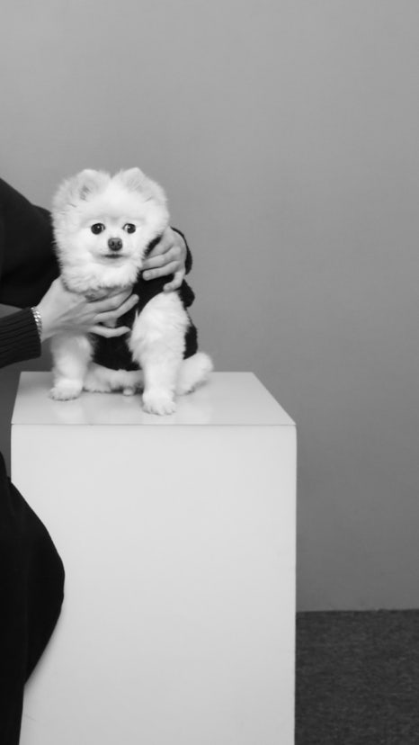 홍대셀프사진관데이트코스오디티모드 이미지