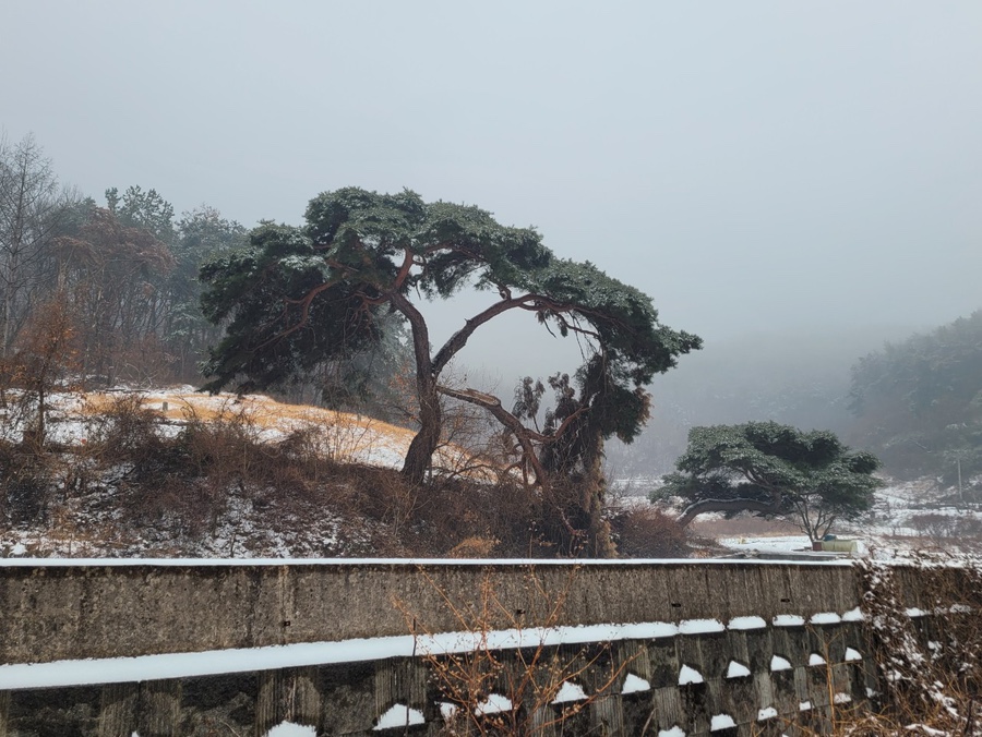 우방조경식물원 이미지
