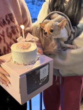 오뮤즈케이크 이미지