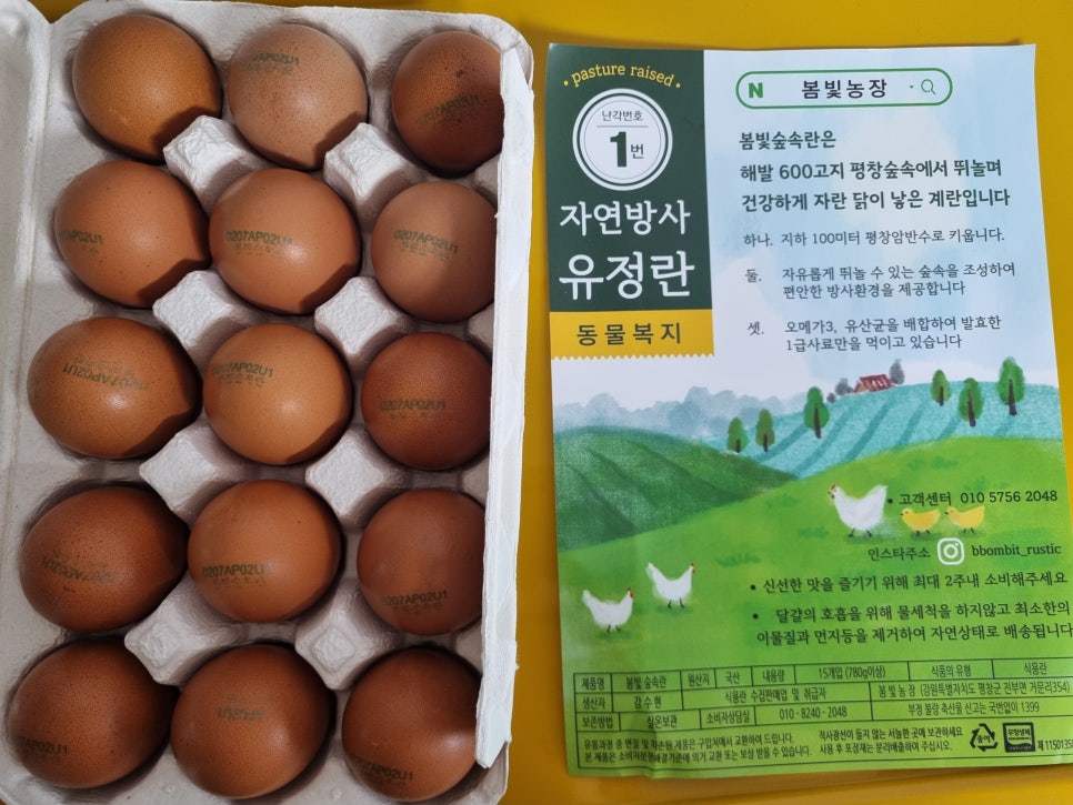 새벽계란 이미지