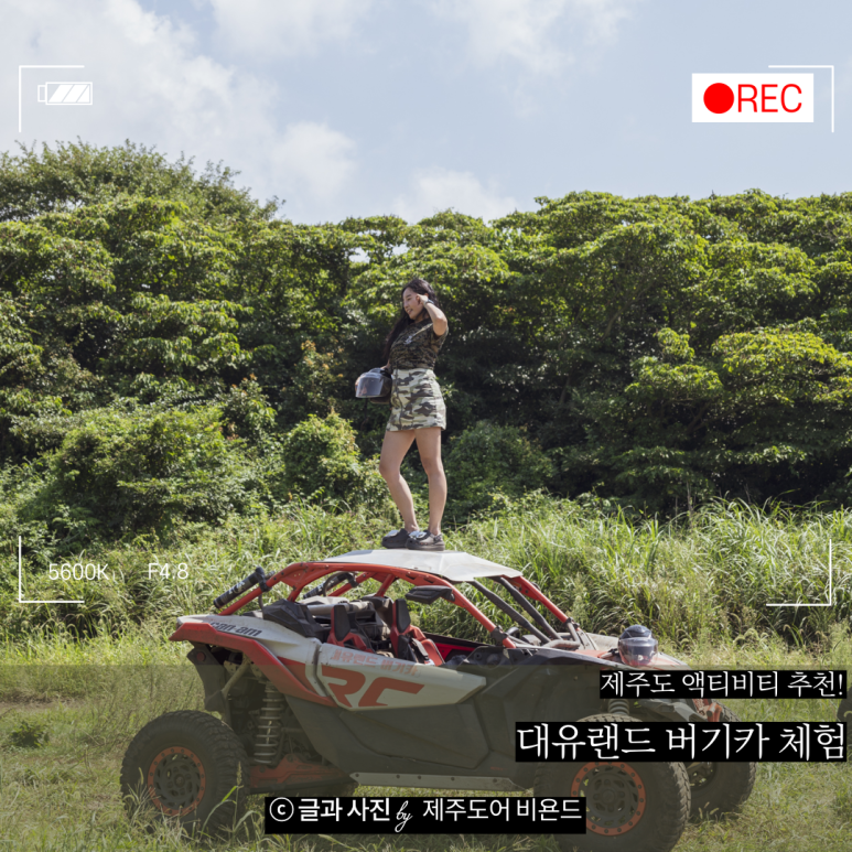 대유스카이 이미지