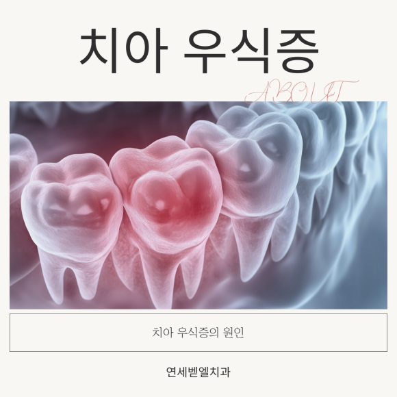 가락우리치과 이미지