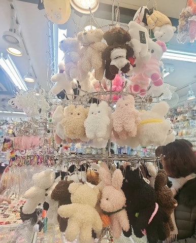 디비스토리 이미지