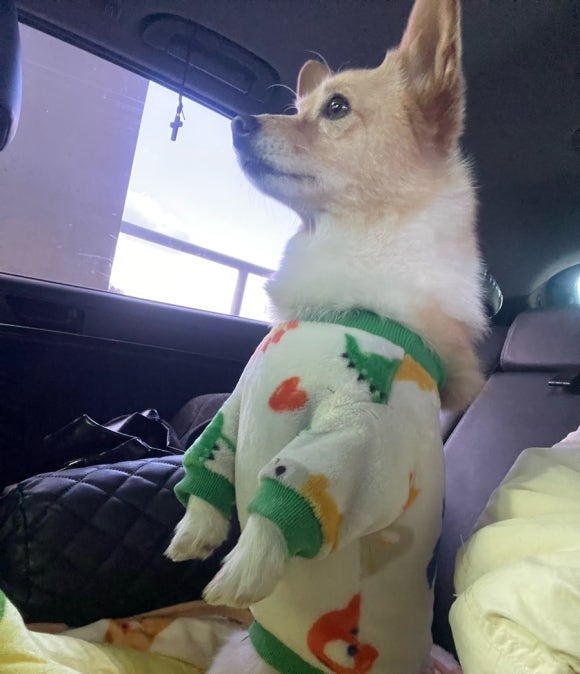 시샘달하루 이미지