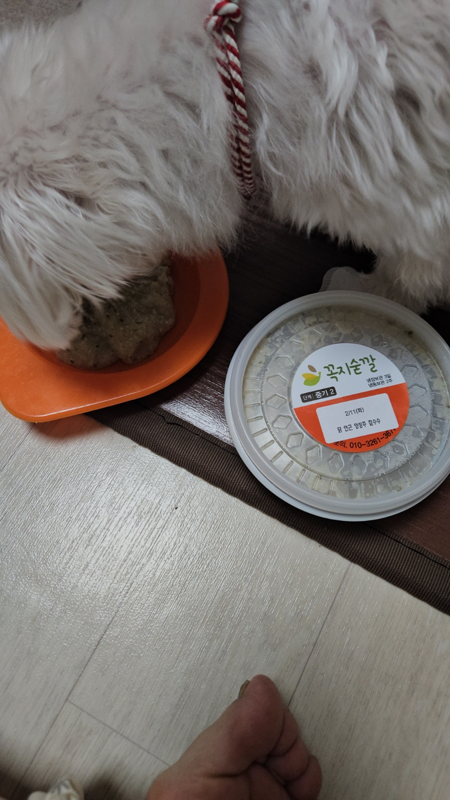 꼭지숟깔 이미지