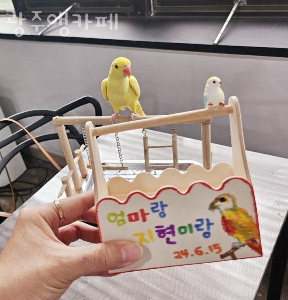 광주앵카페 이미지