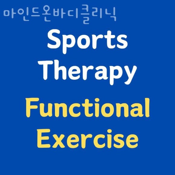 온바디 이미지